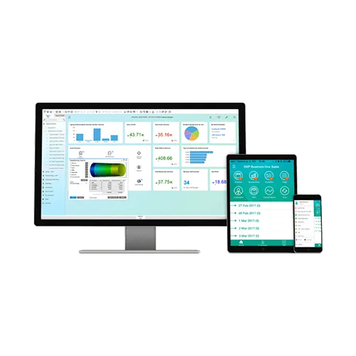 Sap business one